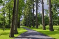 Forest of Bowland