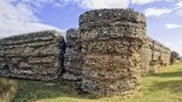 Burgh castle roman fort