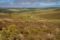 Exmoor National park near Lynton and Lynmouth