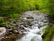 Watersmeet near Lynmouth