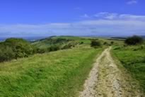 South Downs National Park