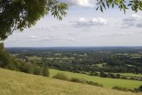 View from Box hill