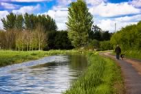 Bridgwater to Taunton canal towpath
