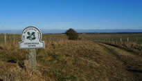 National Trust properties in Dorset